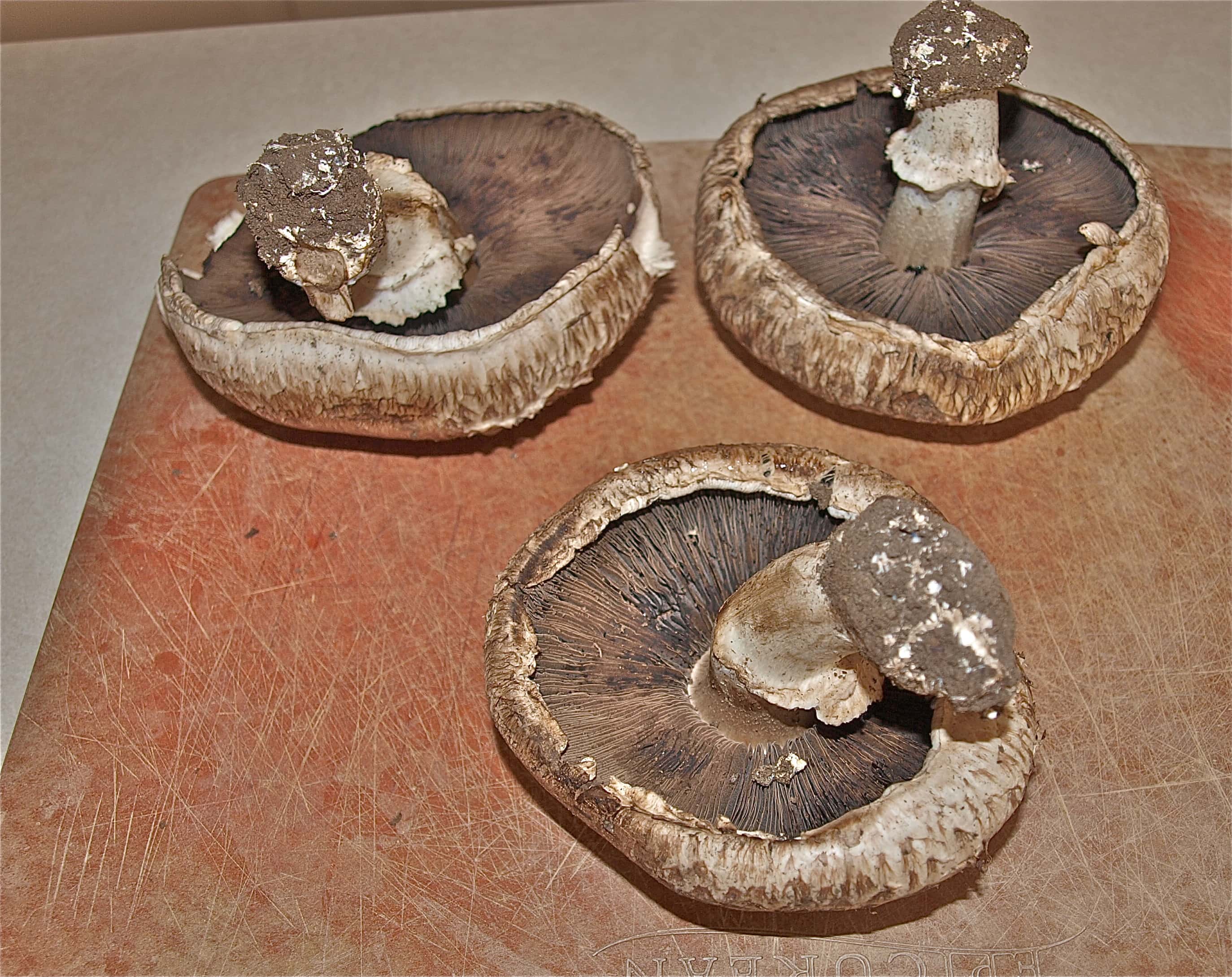 Roasted Portobello Fajitas Happy Healthy Mama