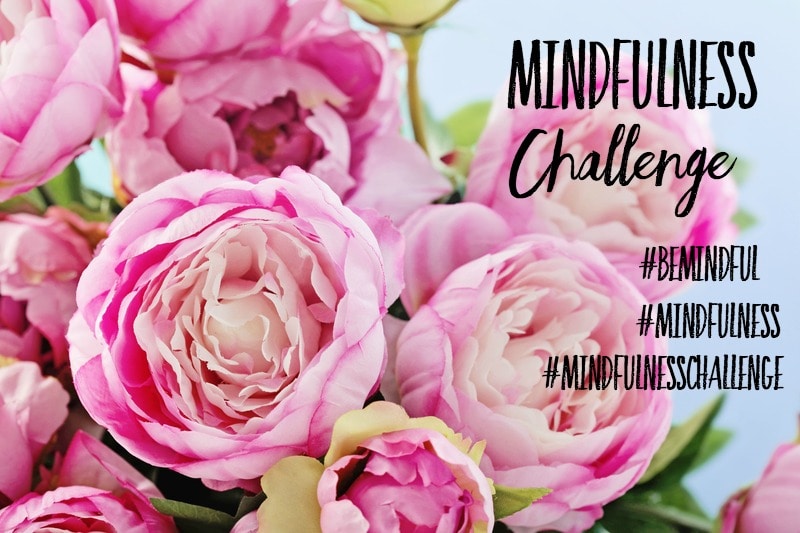Mindfulness Challenge