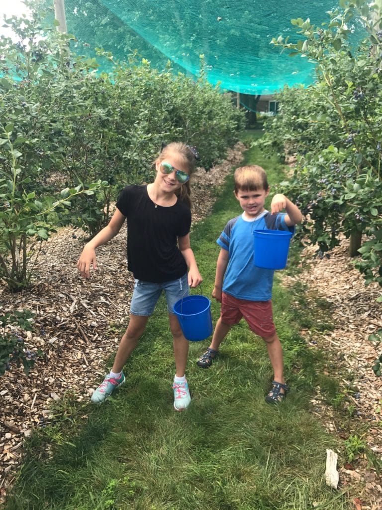 Meghan and Luke Blueberry picking--summer tradition