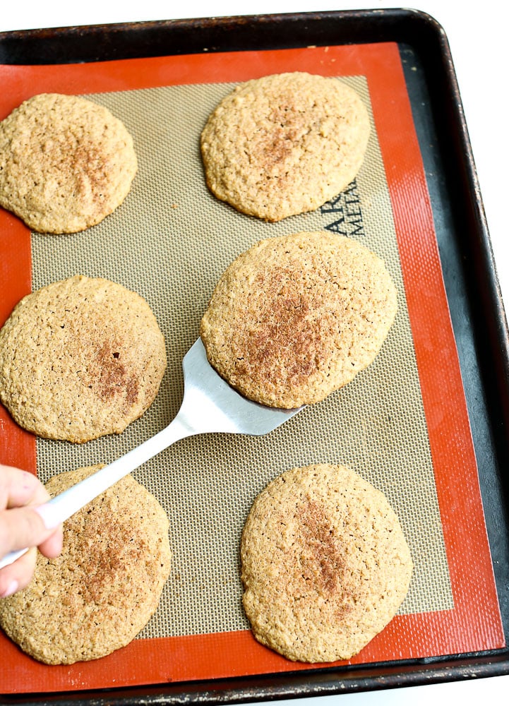 texture of Low Carb Flaxseed Cinnamon Breakfast Cookies