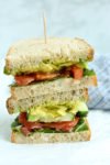 The Best Veggie Sandwich stacked up