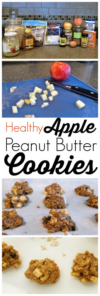 These healthy, whole grain cookies are made with no refined flour, no refined sugar and are only 49 calories each! Great healthy way to satisfy your sweet tooth. Super quick and easy, no fuss recipe. 