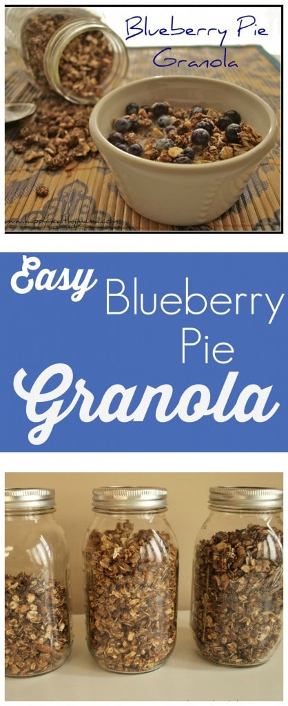 This is blueberry pie in the form of healthy, low-sugar granola! Such an easy, healthy, and delicious breakfast idea! This one will make its way into your regular recipe rotation!