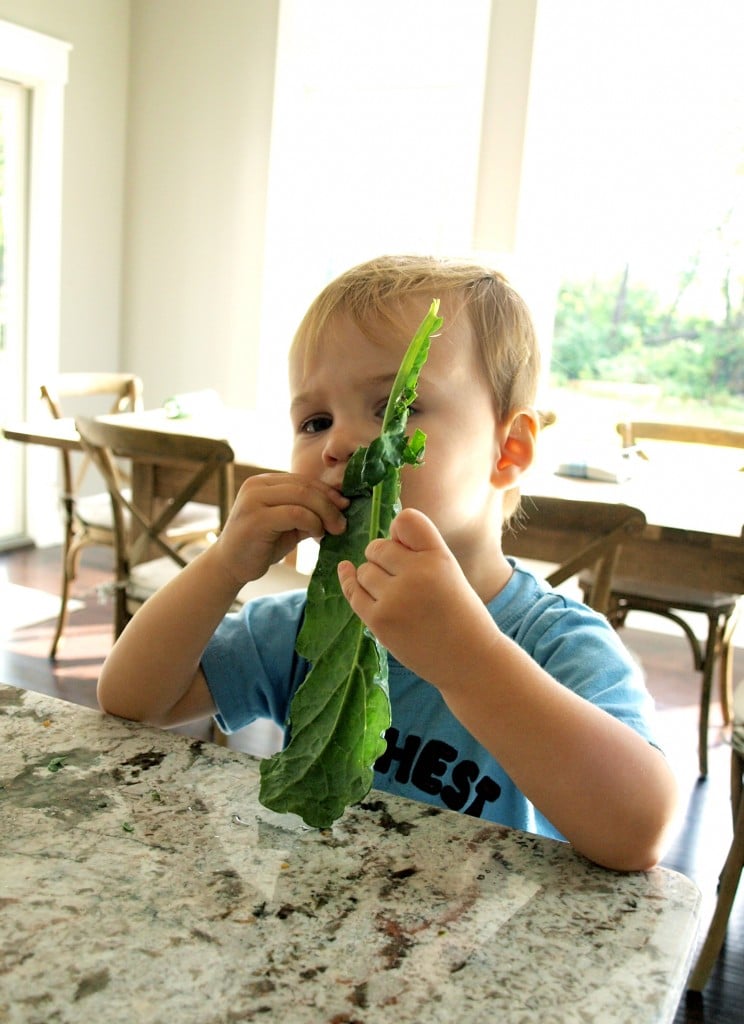 Luke tries raw kale.