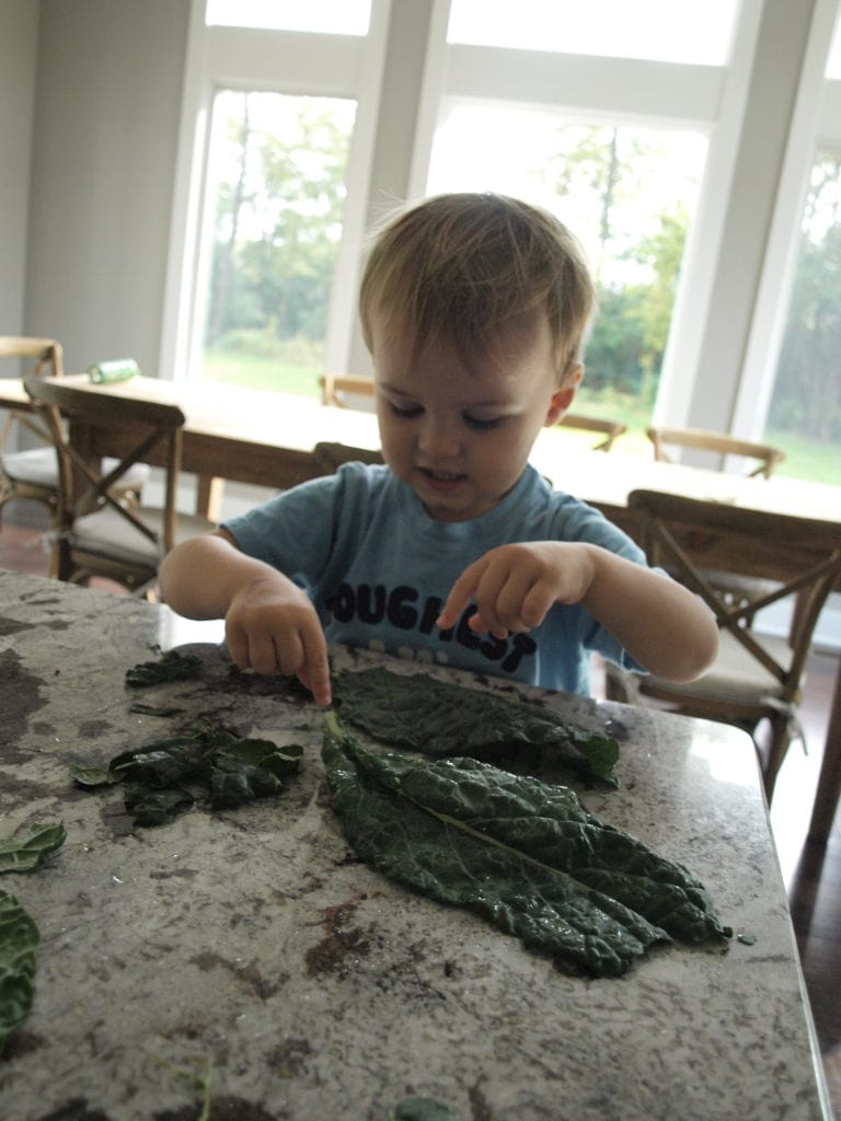 Luke helps me tear the kale.