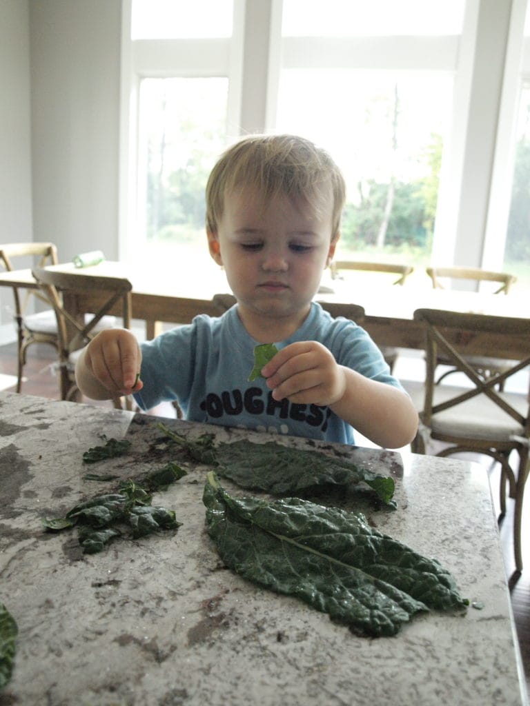Luke helps tear the kale.