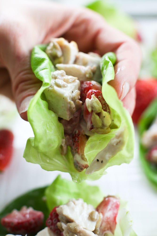 Strawberry Chicken Lettuce Wraps holding in hand healthy chicken salad recipe