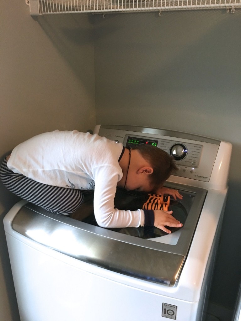 This Blogging Life:  A Day in the Life