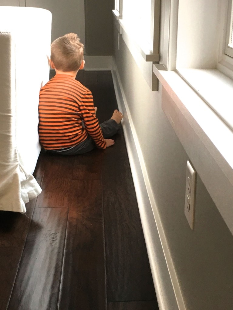 This Blogging Life:  A Day in the Life