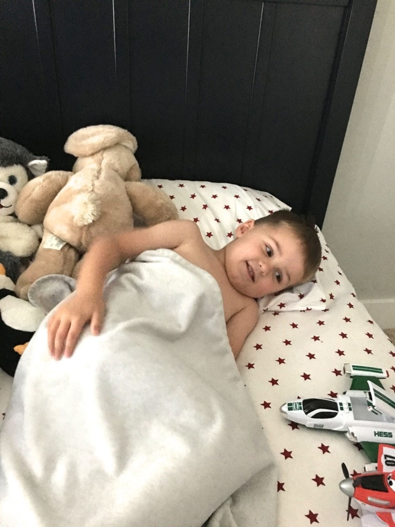 This Blogging Life:  A Day in the Life