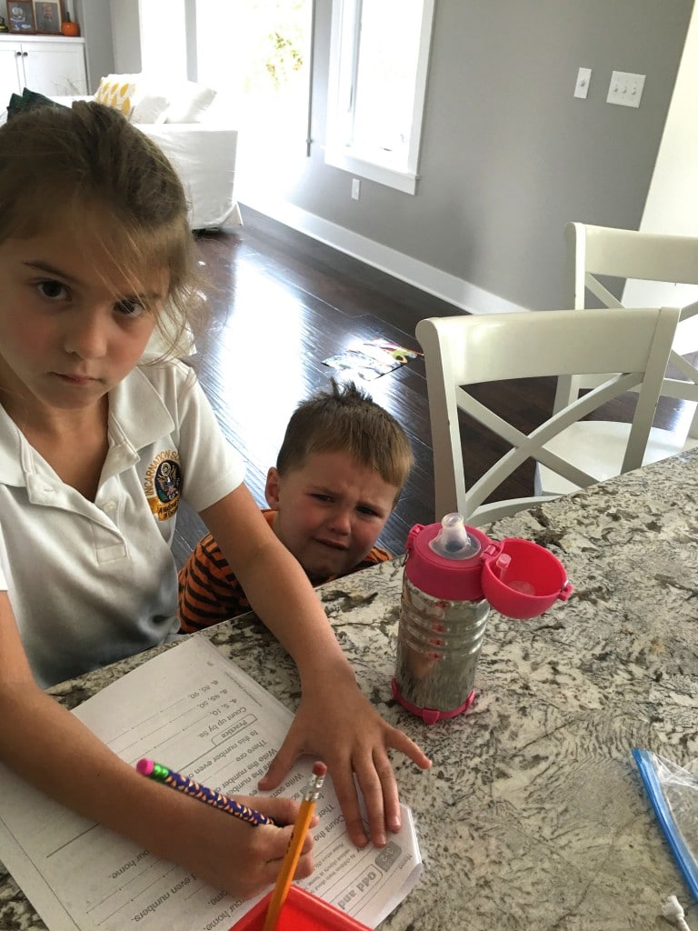 This Blogging Life:  A Day in the Life