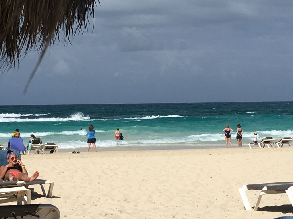 Coffee Talk Vol 1 Happy Healthy Mama