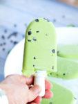 The secret ingredient in these Mint Chocolate Chip Pea Pops is frozen peas! Such a great way to add fiber, protein, and tons of nutrients to this healthy dessert idea! Vegan and gluten free recipe special treat.