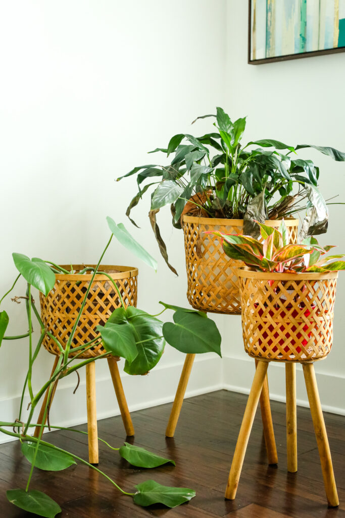 3 plants in a corner in bamboo plant stands to help detox your home