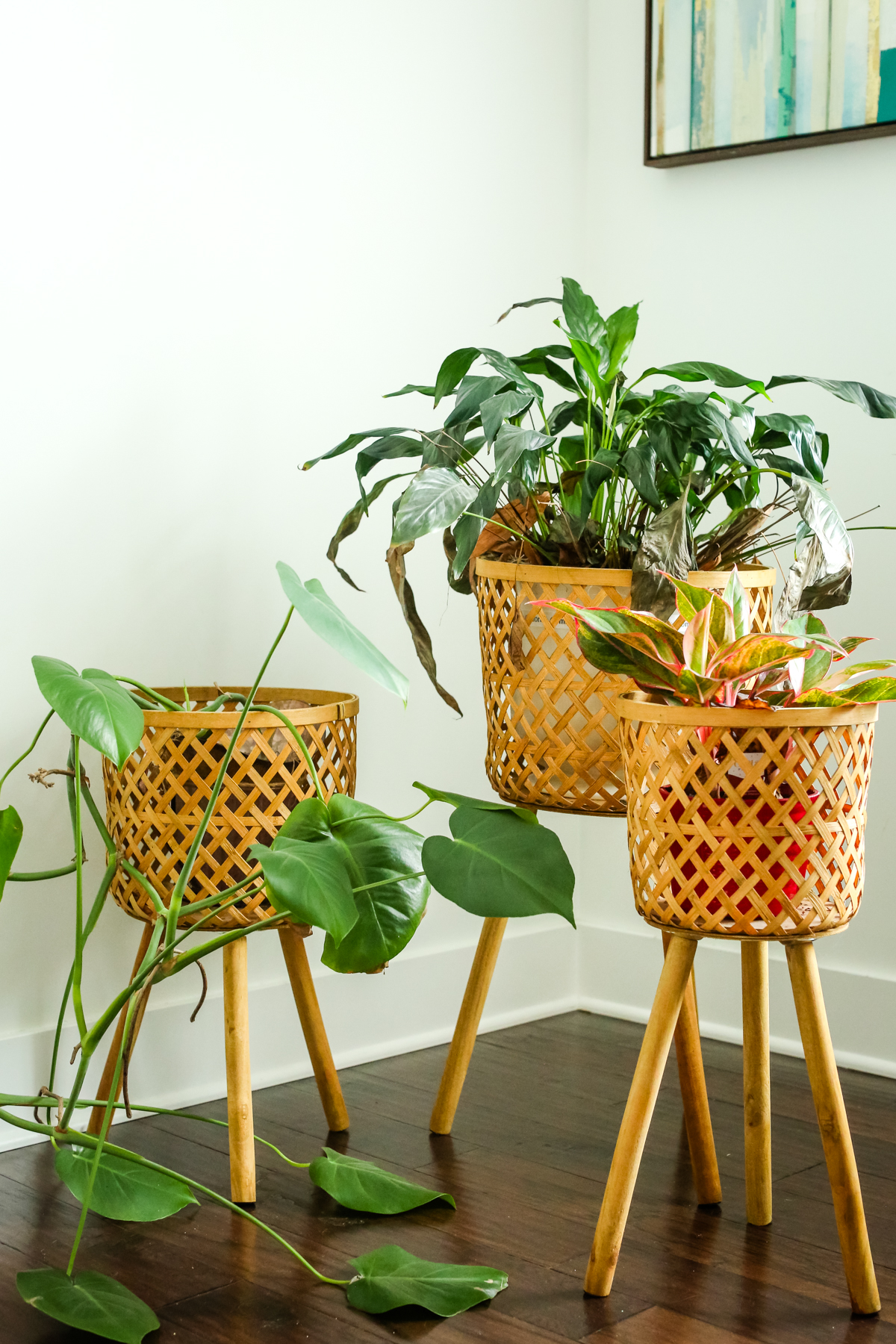 3 plants in a corner in bamboo plant stands to help detox your home