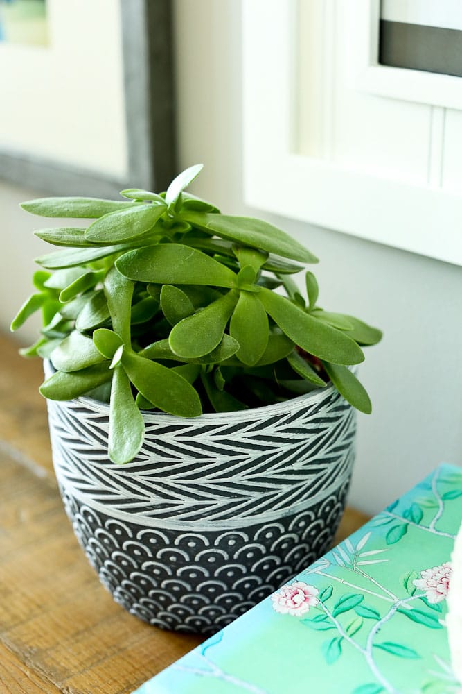 use household plants to reduce the indoor air pollution in your home