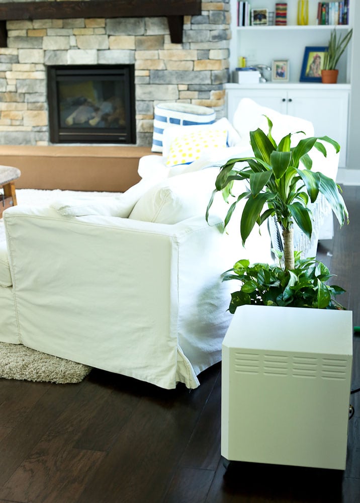 EnvironKlenz mobile air cleaning until use household plants to reduce the indoor air pollution in your home