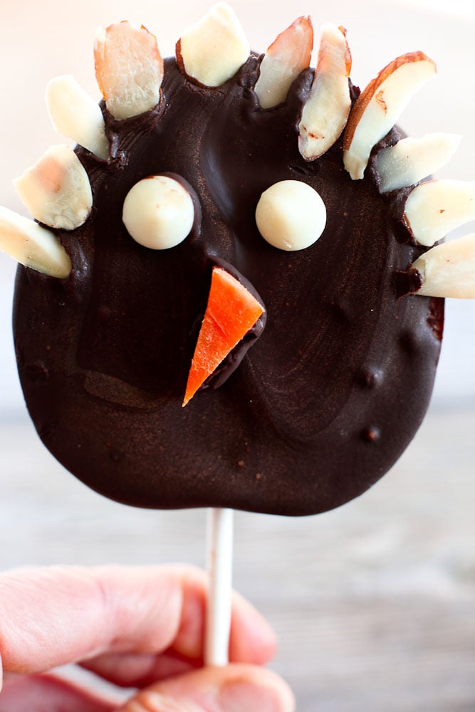 Chocolate Covered Apple Turkey Pops