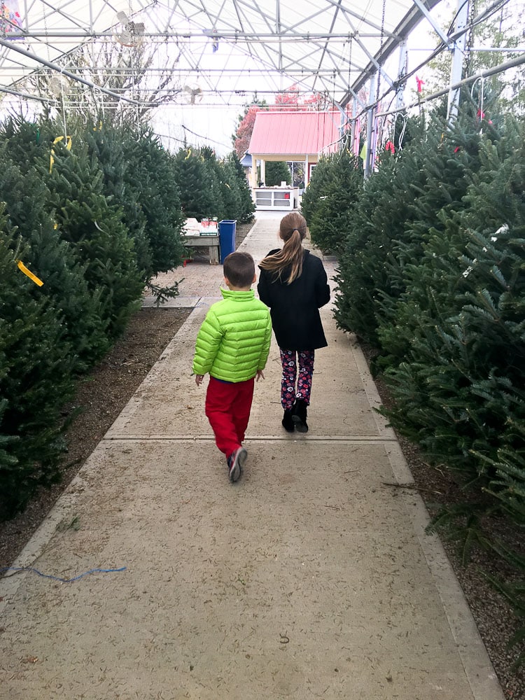 Ideas for Family Traditions for Chrismas-shopping for a Christmas tree