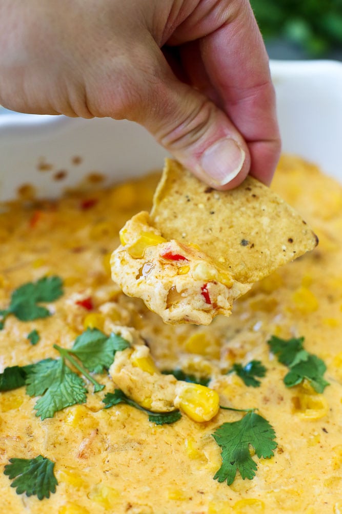 Hot Corn Dip Recipe-close up of taking a chip into the cheesy dip