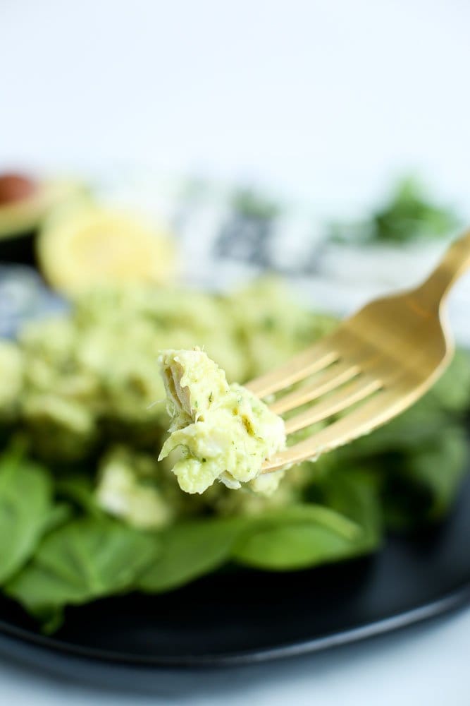 Healthy Avocado Chicken Salad recipe bite on a fork