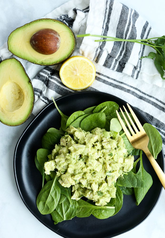 healthy Avocado Chicken Salad recipe--overhead shot