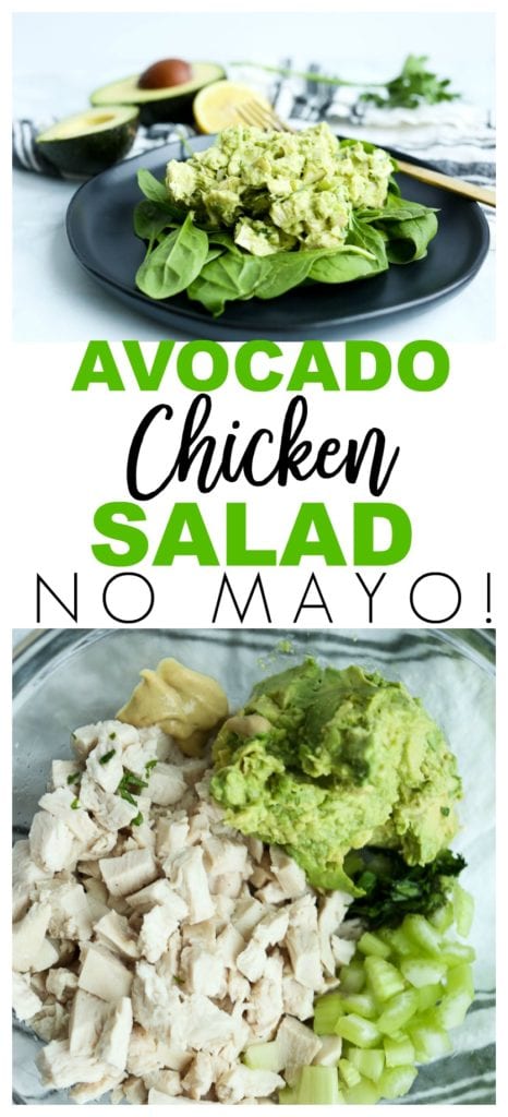 Healthy Avocado Chicken Salad Recipe No Mayo #healthy #paleo
