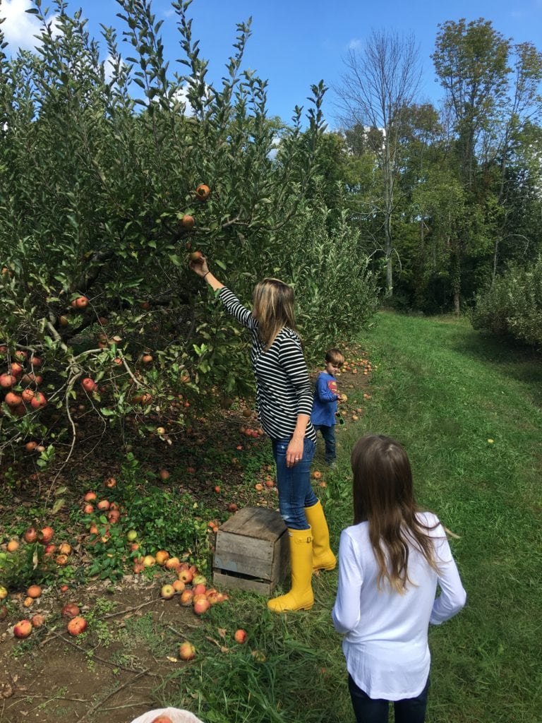 Apple Picking Apple Recipes you Must Make this fall