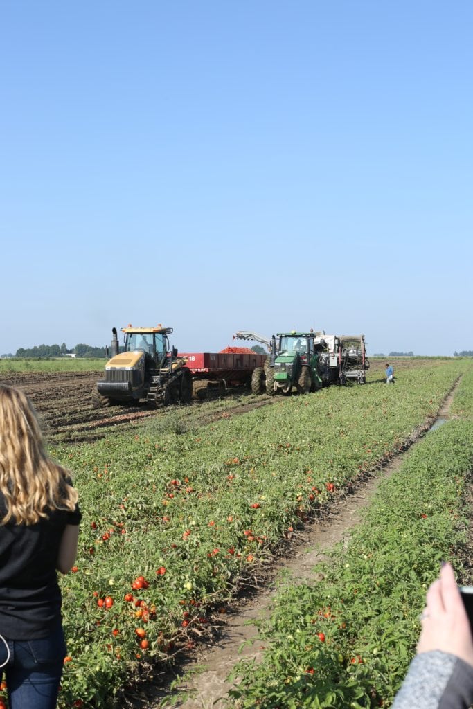 Are Canned Foods Nutritious? tractor at Triple S Smith Farms