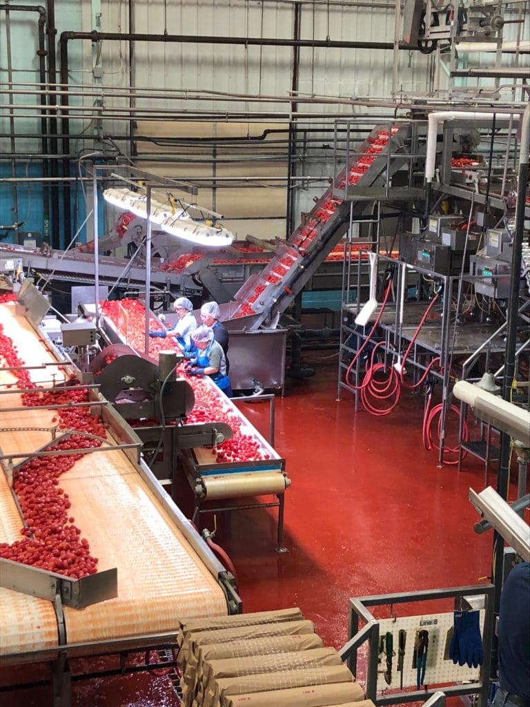 Are Canned Foods Nutritious? inside the Red Gold tomato processing plant