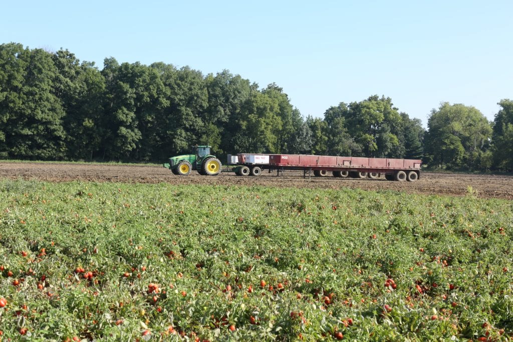 Are Canned Foods Nutritious (at Triple S tomato farm in Indiana) 