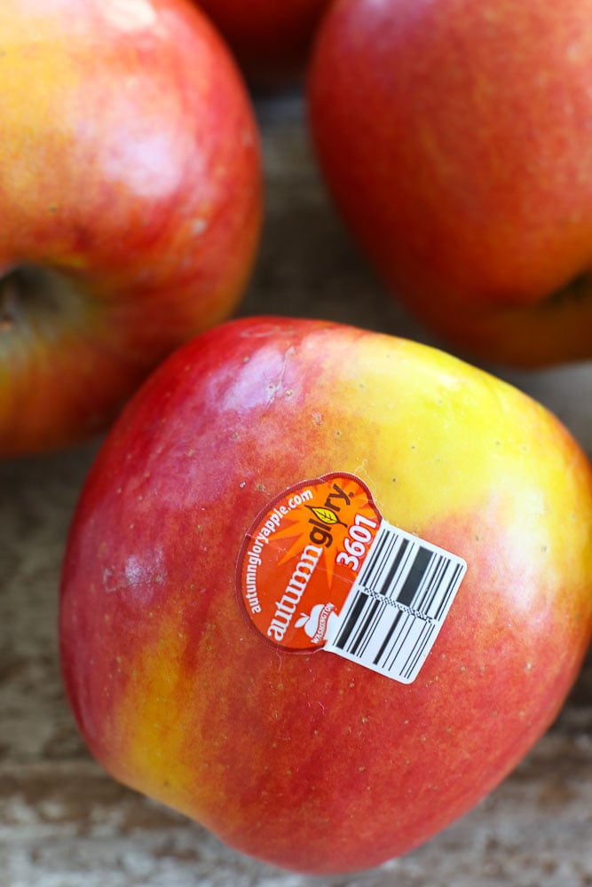 Apple Panini with Autumn Glory Apples