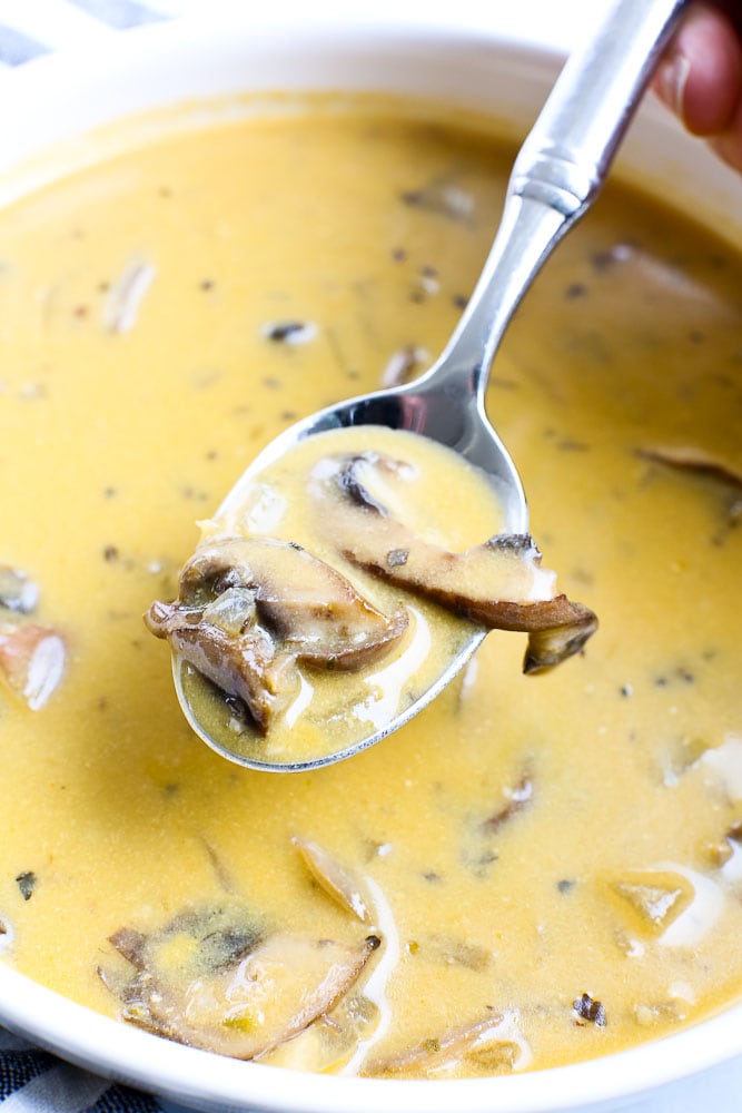 vegan Mushroom Soup close up