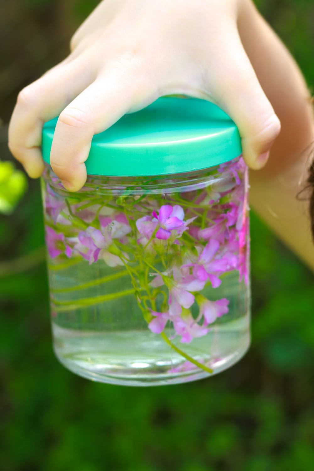 Wildflower Sensory Activity