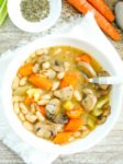 Instant Pot Vegetable Soup with Beans recipe overhead shot