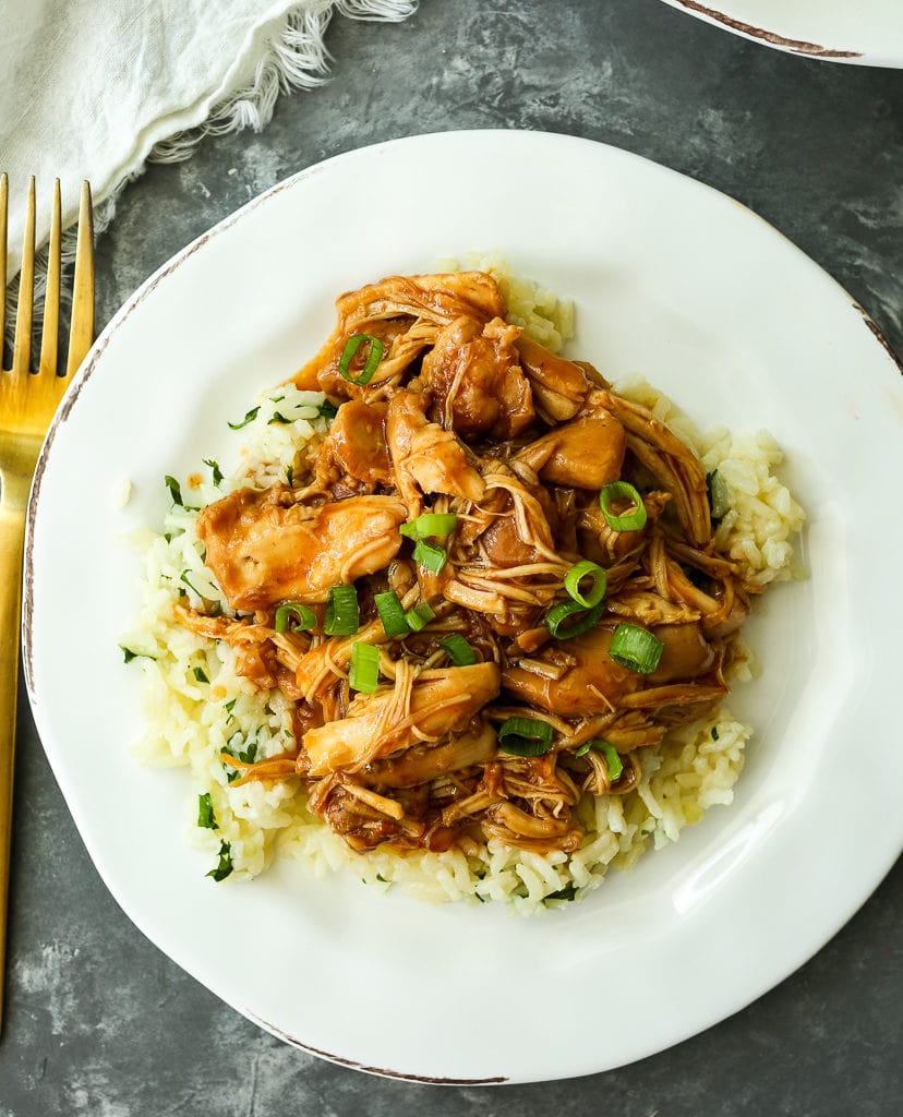 Honey Garlic Chicken Instant Pot Pressure Cooker or Slow cooker Recipe overhead shot