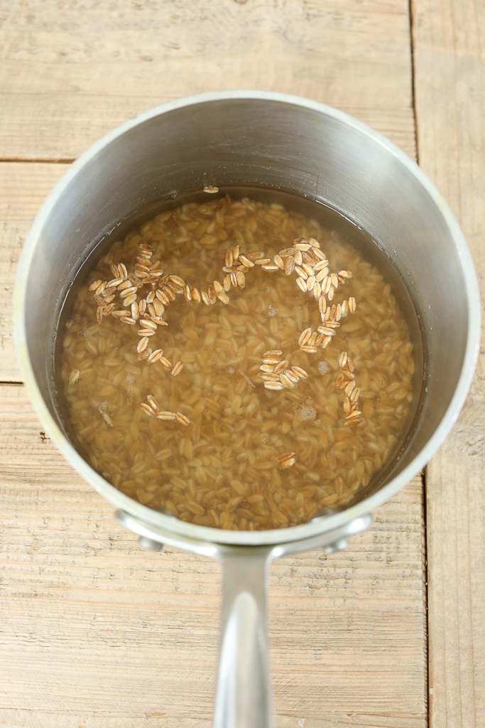 farro in a sauce pan covered in water