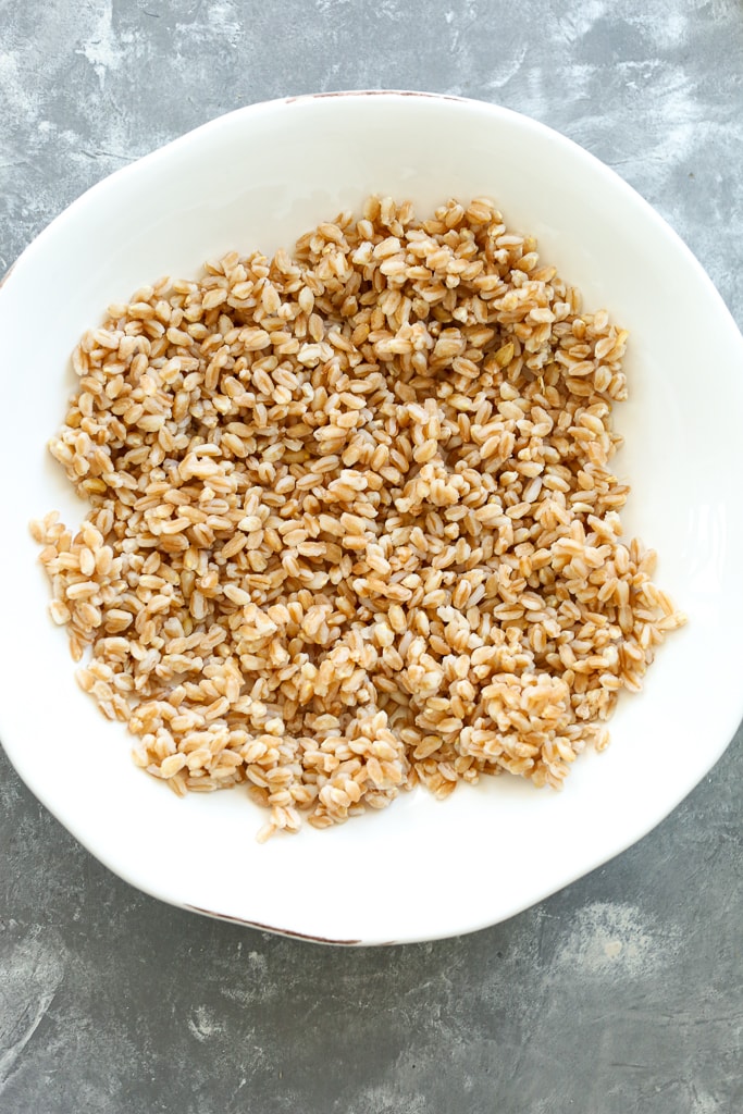 cooked farro in a white bowl
