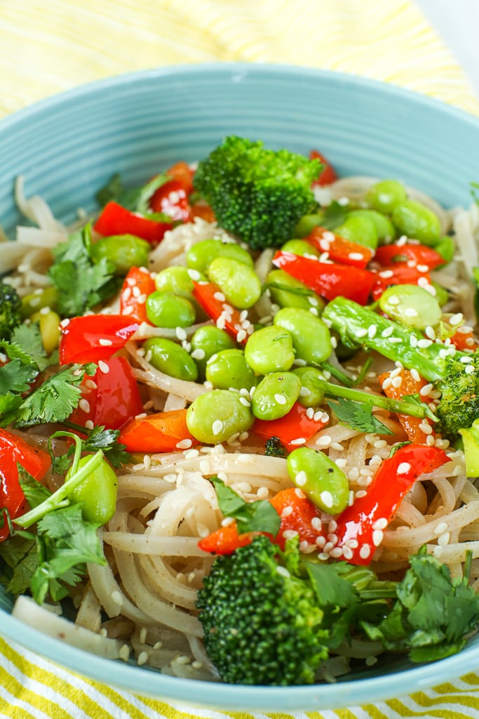 a close up picture of the Vegan Asian Noodle Bowl with broccoli, red bell peppers, edamame, and brown rice noodles