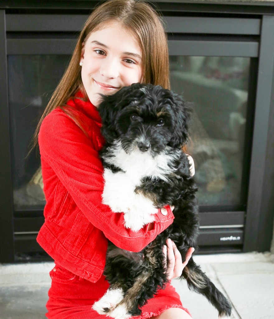 A girl in a red jacket and skirt holding a black and white puppy in front of a fireplace
