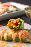 Vegan Spring Rolls Recipe one cut in half stacked on another with peanut sauce