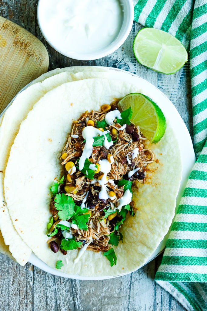 shredded chicken in a flour tortilla