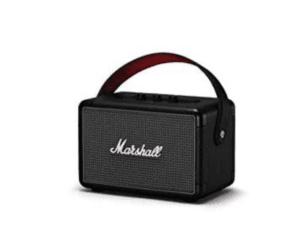 marshall portable speaker