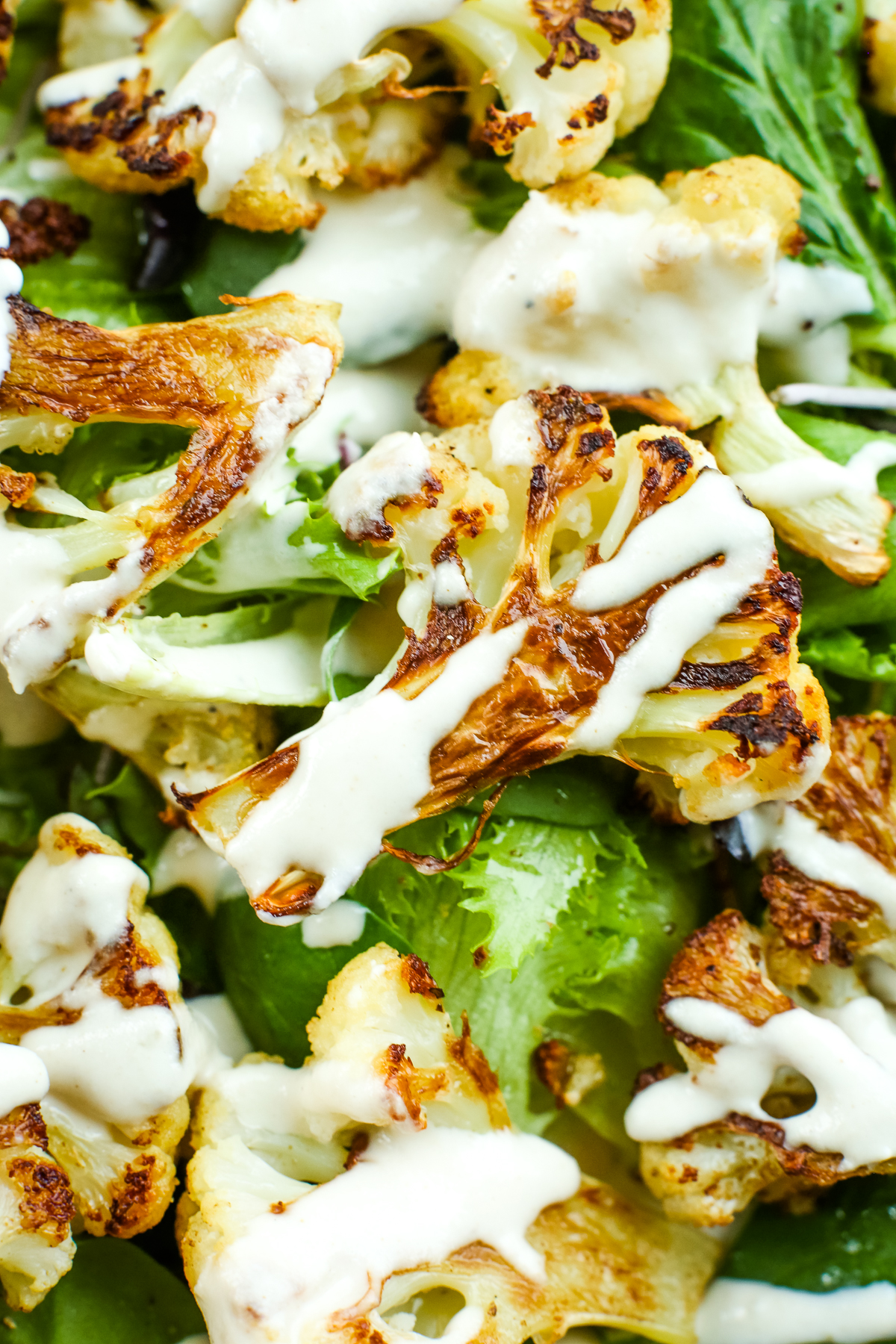 close up of roasted ca