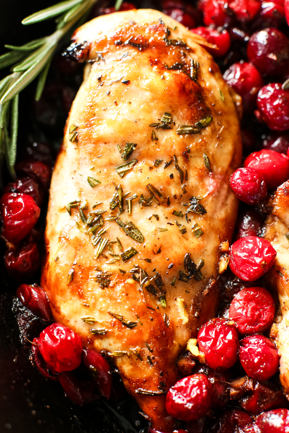 chicken breast in a pan surrounded by cranberries