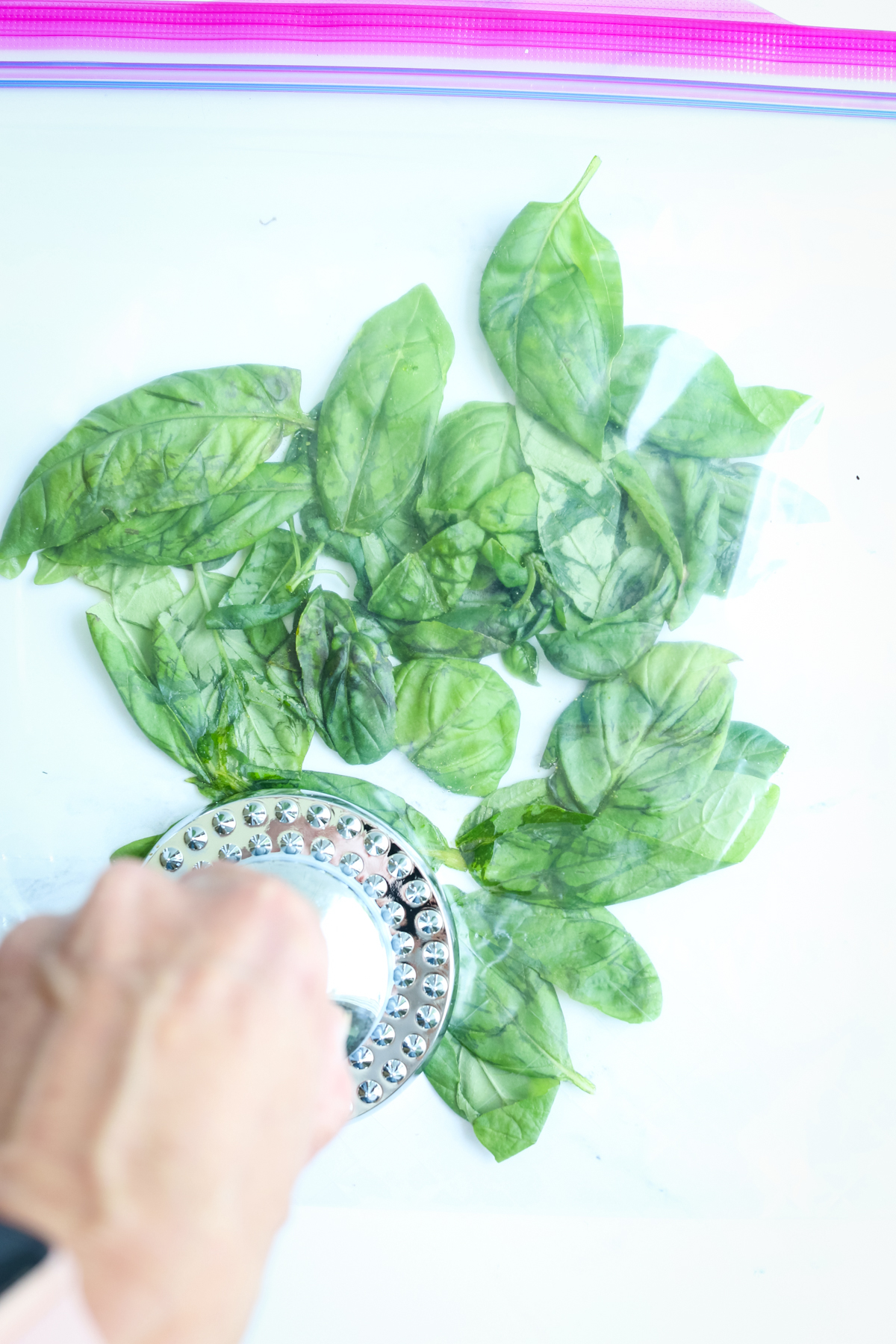 basil leaves in a plastic bag being bruised by a meat mallet