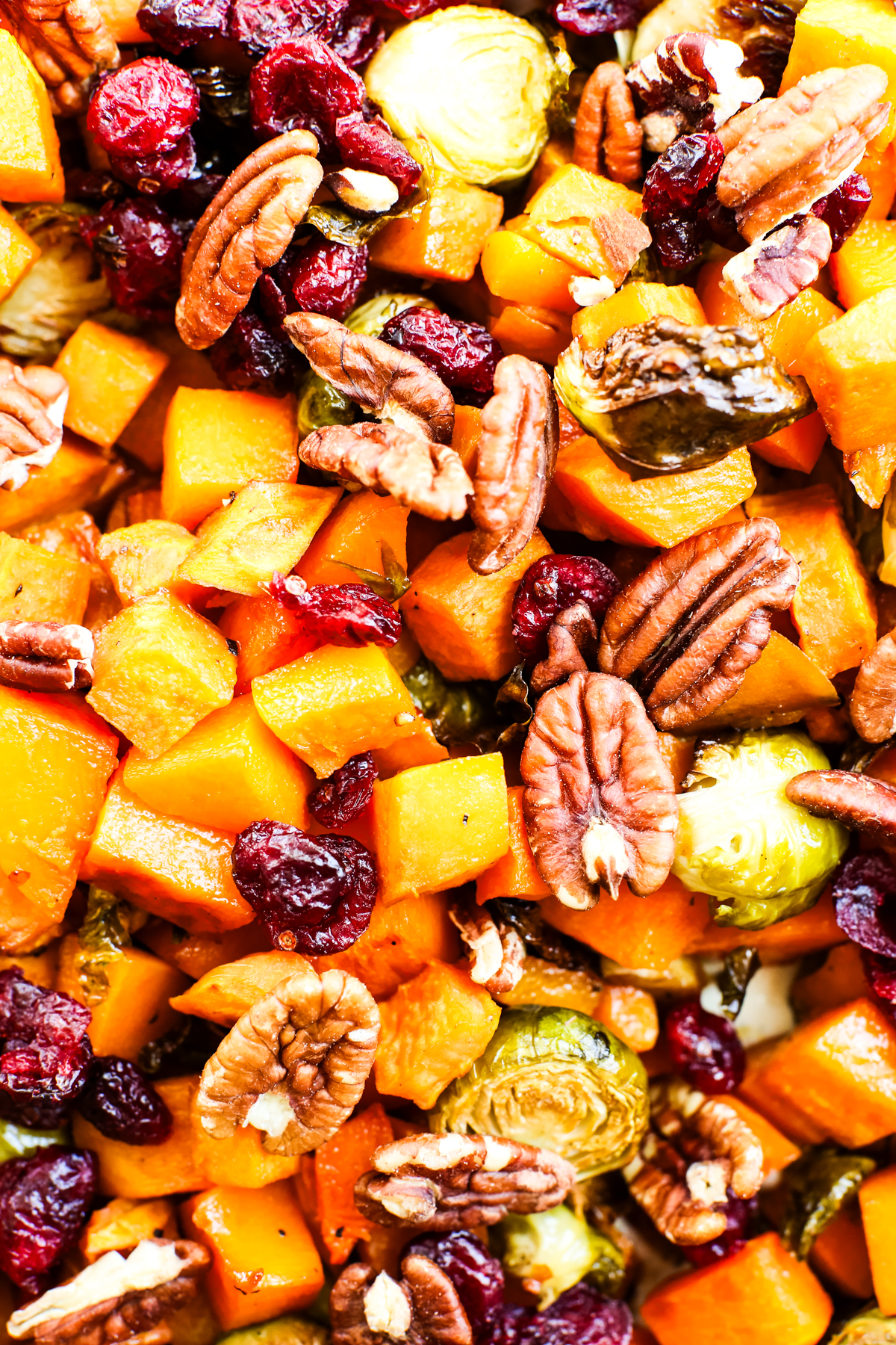 a close up shot of sweet potatoes, butternut squash, Brussels sprouts, pecans, and dried cranberries