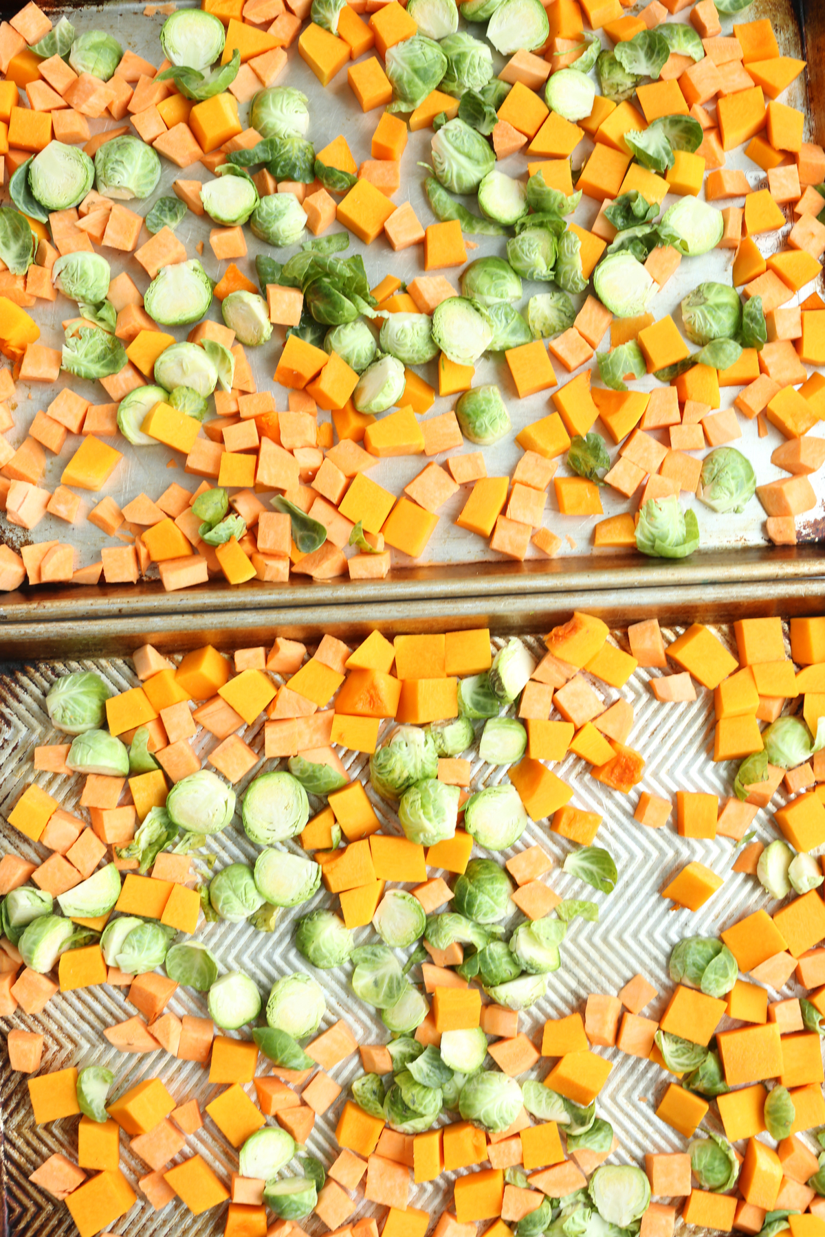 vegetalbes on two baking sheets