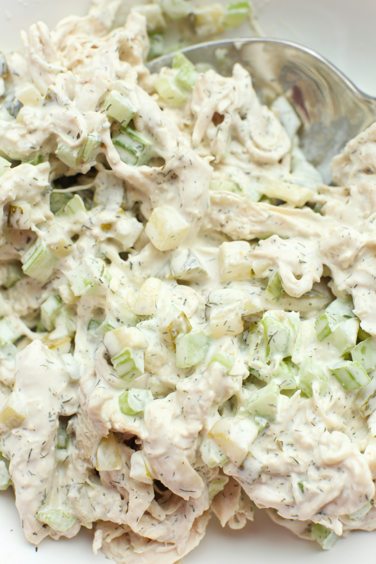 close up photo of Dill Pickle Chicken Salad