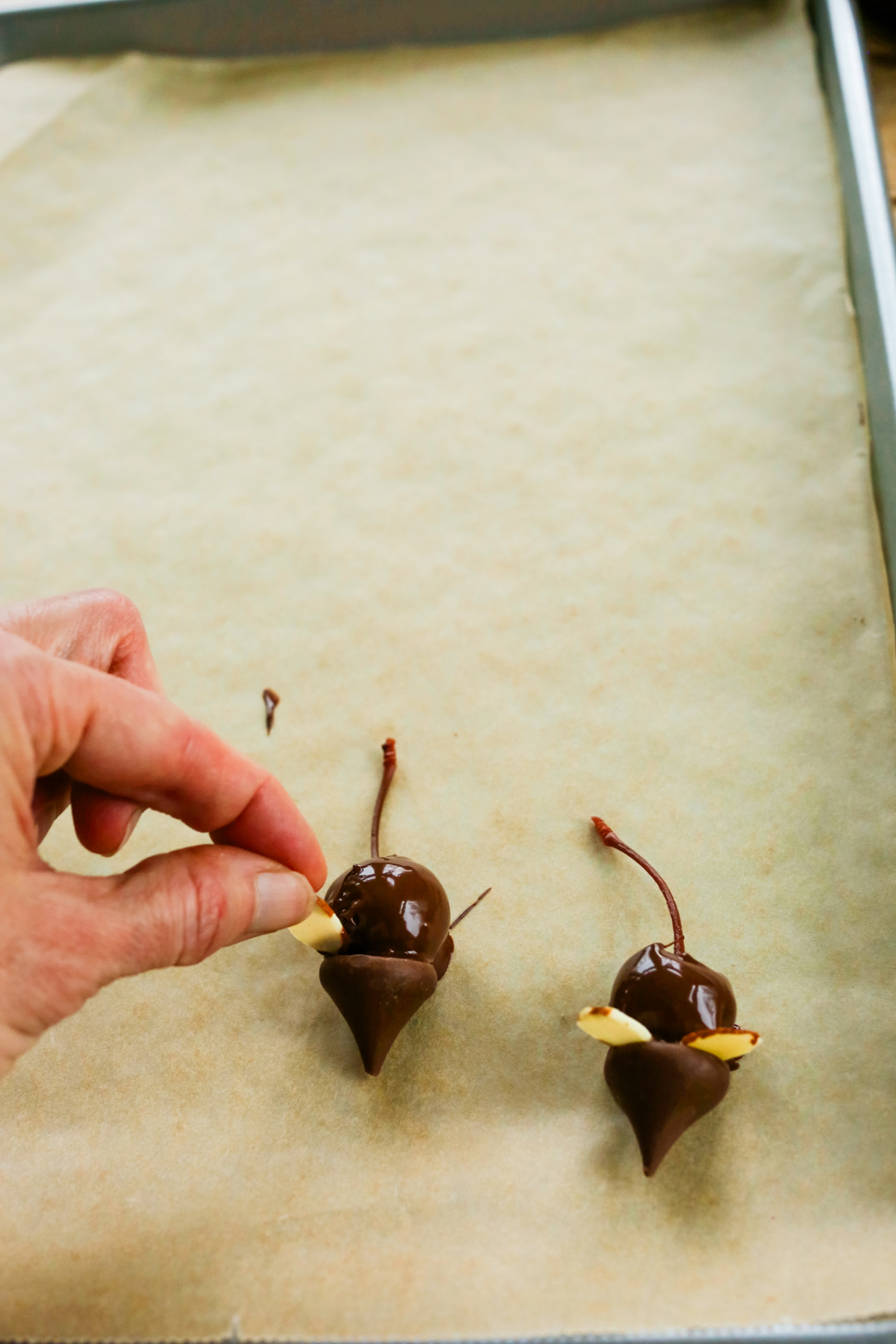 adding sliced almonds to the Christmas Mice